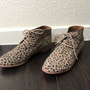 Dolce Vita Leopard Oxford Ankle Booties